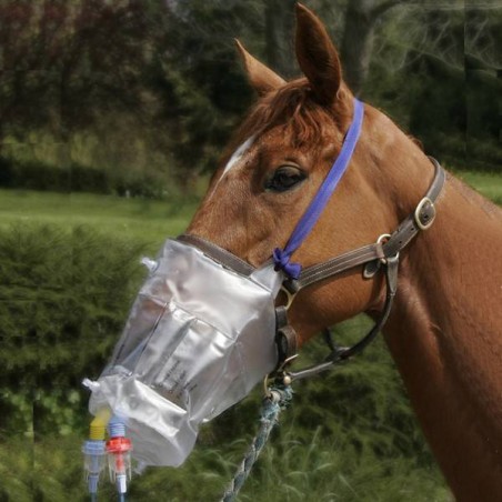 Top Mask pour nébulisateur Horseneb