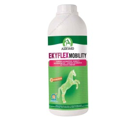 Audevard Ekyflex Mobility