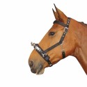 Caveçon Harry's Horse Cheval
