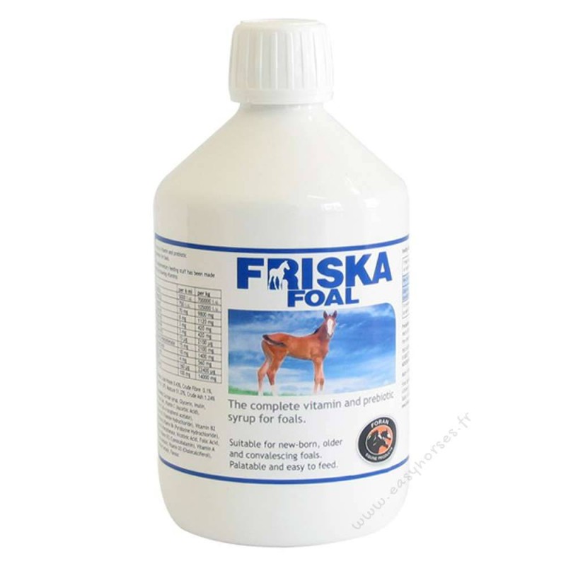 Foran Friska Foal