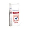 Royal Canin Senior Consult Mature Medium Dog