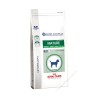 Royal Canin Senior Consult Mature Small Dog