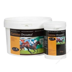 Horse Master Gamma Oryzanol