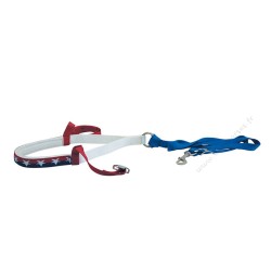 Noseband et Tie Down Lakota USA