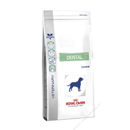 Royal Canin Dental DLK 22