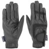 Gants Artic Rider