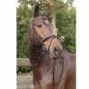 Bridon Harry's Horse Bronze Cheval