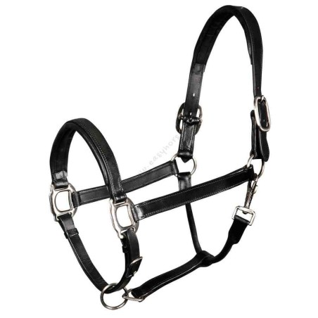 Licol Harry's Horse Padded Noir