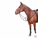 Collier de chasse Harry's Horse élastique Marron Cheval