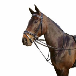 Enrênement Howlett ou Thiedeman Harry's Horse Cheval