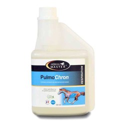 Horse Master Pulmochron 500 ml