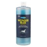 Shampoing Wonder Blue