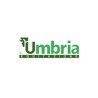 Umbria Equitazione